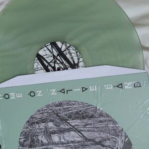 Colored Vinyl Hidden Cameras Home On Native Land Lp 2016 Canada Imported Out9105